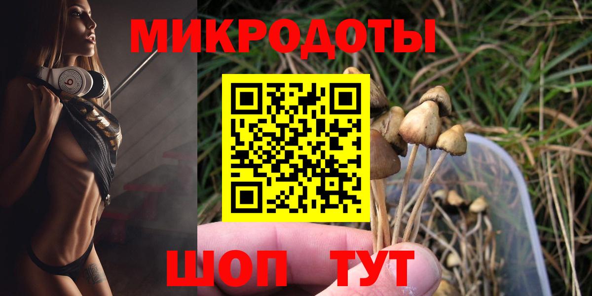 Борзя  Псилоцибиновые грибы MAGIC MUSHROOMS  наркошоп  Вход с VPN 