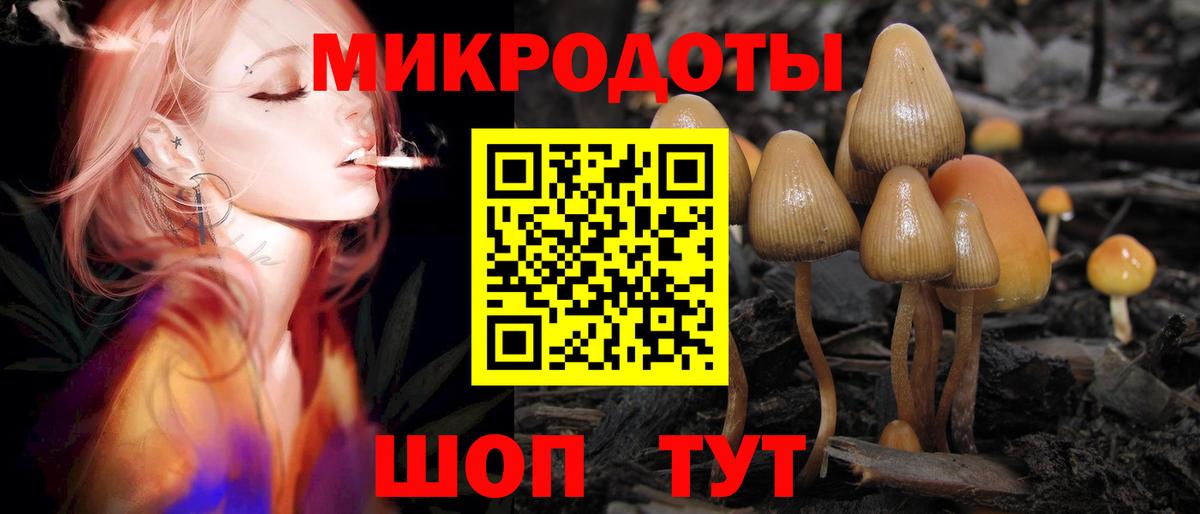 Галлюциногенные грибы Psilocybe Борзя